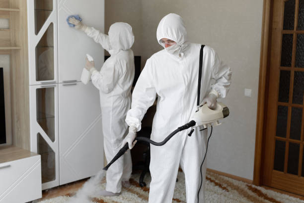 24/7 Emergency Odor Removal experts in Albany, OR